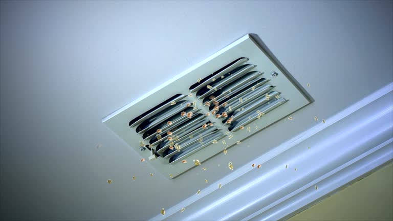 Best HVAC Air Duct Cleaning  in Rolling Hills Estates, CA